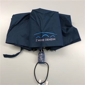 Mini Taschenschirm
